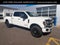 2020 Ford F-250 Platinum