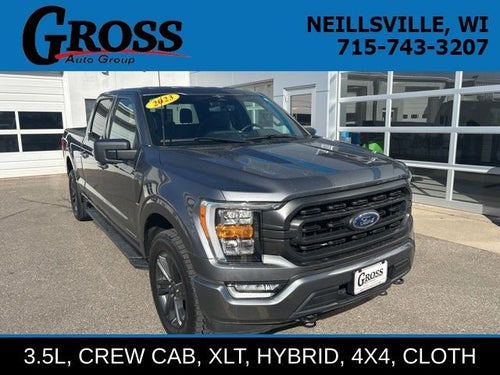 2023 Ford F-150 XLT