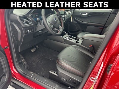 2026 Ford Escape ST-Line Elite